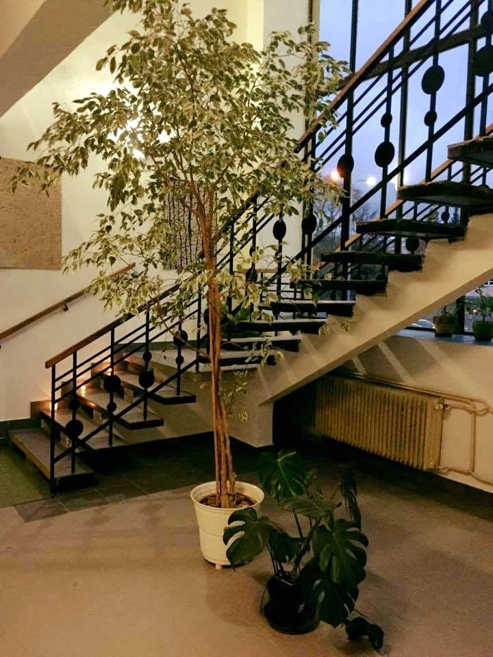 Shakti Centrum Jóga